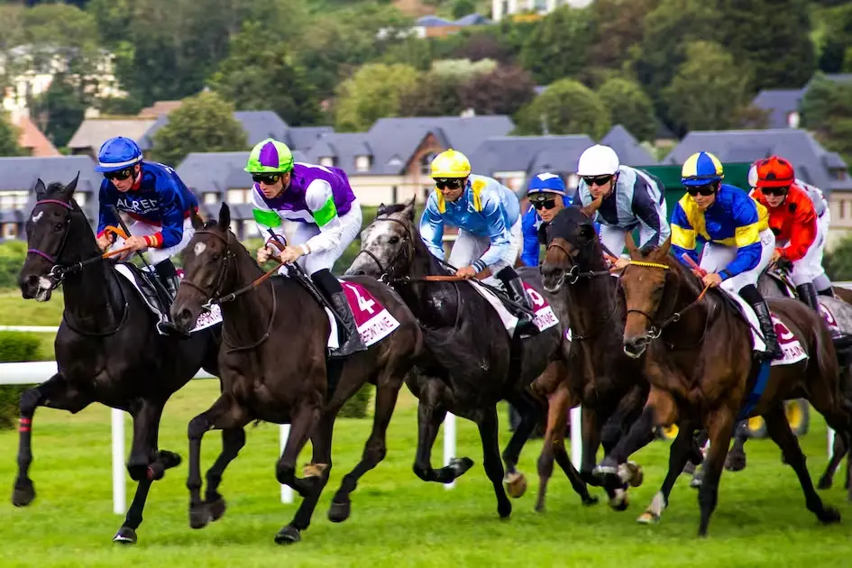 Deauville Horse Racing Deauville Horse Racing